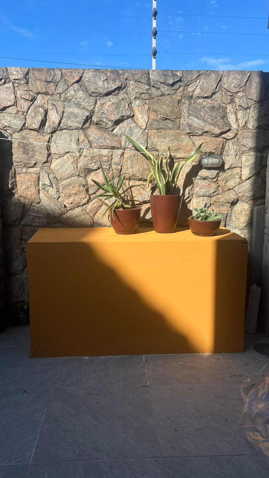 Studio - Quintal